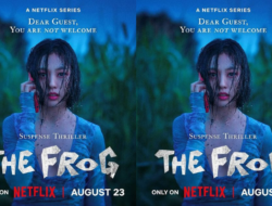 Sinopsis The Frog: Serial Netflix Menegangkan yang Dibintangi Go Min Si dan Chanyeol EXO