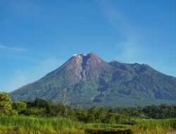 Kebakaran Hutan di Puncak Gunung Merapi Ungup-Ungup, Petugas Hadapi Tantangan Akses