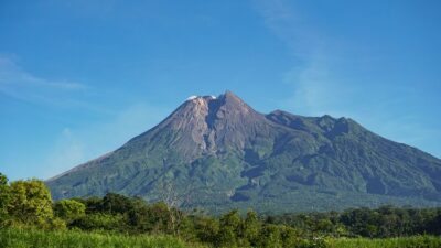 Kebakaran Hutan di Puncak Gunung Merapi Ungup-Ungup, Petugas Hadapi Tantangan Akses