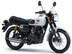 Menyelami Pesona Kawasaki W175 Standard