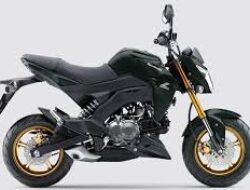 Kawasaki Z125 Pro: Motor Mini yang Menggoda untuk Pengendara Muda