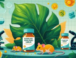 ERA BARU PANJANG UMUR DIMULAI! Ilmuwan Temukan Kombinasi Obat yang Menambah Usia 30 Persen