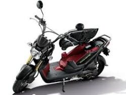 Honda Zoomer-X: Skutik Stylish untuk Generasi Muda
