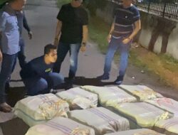 Penangkapan Kurir Narkoba: Polisi Amankan 255 Kg Ganja di Karo