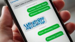 Panduan Paling Lengkap Membuat Tulisan Berwarna di WhatsApp Tanpa Aplikasi Tambahan
