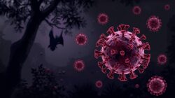 Virus Nipah Kembali Mengkhawatirkan, Ini Penjelasan Lengkap dengan Bahasa Sederhana untuk Masyarakat Indonesia
