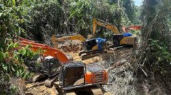 Penertiban Tambang Emas Ilegal di Madina: Polda Sumut Sidak dan Amankan 14 Eskavator