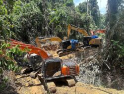 Penertiban Tambang Emas Ilegal di Madina: Polda Sumut Sidak dan Amankan 14 Eskavator