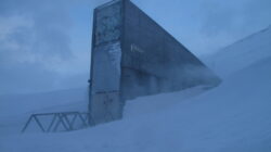 Saat Dunia Tidak Yakin dengan Masa Depan, Jutaan Benih Disembunyikan di Gunung Es Arktik