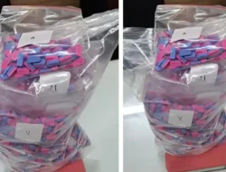 Satresnarkoba Jaksel Tangkap 2 Pelaku, Sita 2.700 Butir Ekstasi Asal Prancis di Bekasi