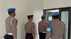 Dugaan Kekerasan Seksual di Jambi, Polisi Tangani Perkara dan Kembangkan Proses Hukum